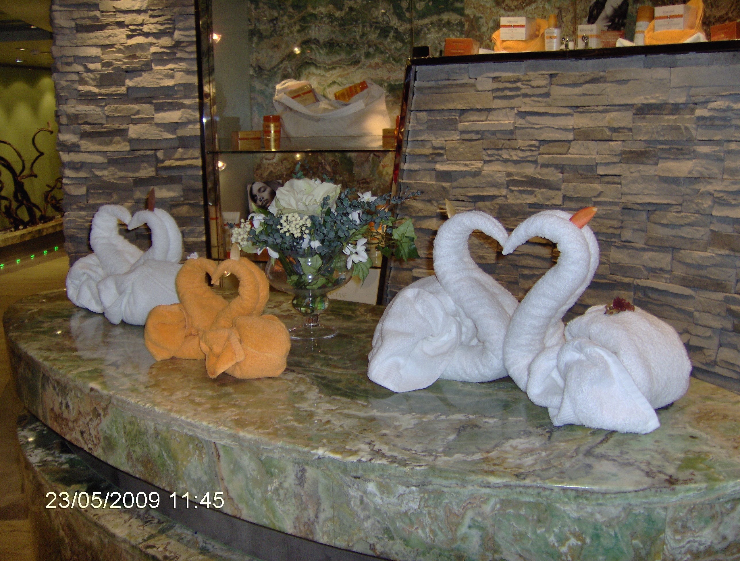 msc aurea spa