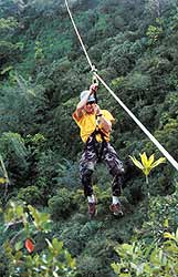 hawaiiexexcursions10