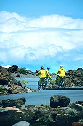hawaiiexexcursions8