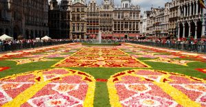 Excursii optionale Bruxelles
