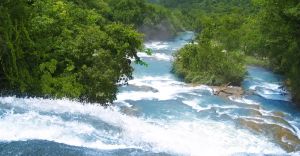 Excursii optionale Puerto Chiapas