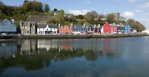 Excursii optionale Tobermory