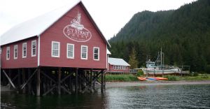 Excursii Optionale Icy Strait Point