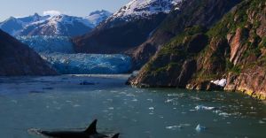 Excursii Optionale Tracy Arm