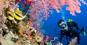Excursii Optionale Sharm el Sheikh