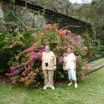 FAM. DR. LILIANA RADULESCU & DR. CRISTIAN RADULESCU