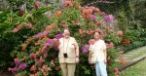 FAM. DR. LILIANA RADULESCU & DR. CRISTIAN RADULESCU