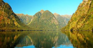 Excursii optionale Parcul National Fiordland