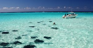 Excursii optionale Grand Cayman