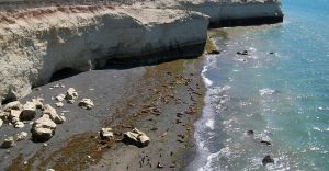 Excursii optionale Puerto Madryn