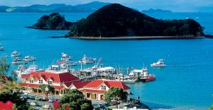 Excursii Optionale Bay Of Islands