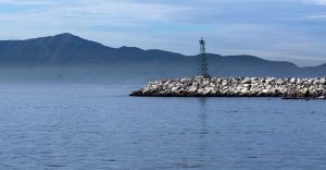 Excursii Optionale Ensenada