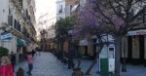 Mirea Mirel