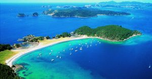 Excursii Optionale Bay of Islands