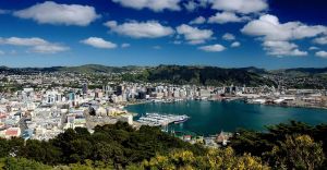 Excursii Optionale Wellington