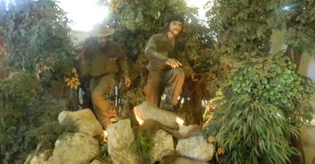 Caltun Sorin