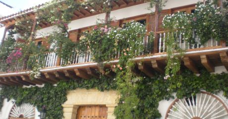 Forin Tilinca