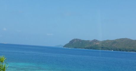 Mincan Nicoleta