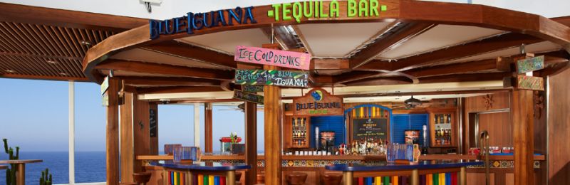 Barul Blue Iguana Tequila