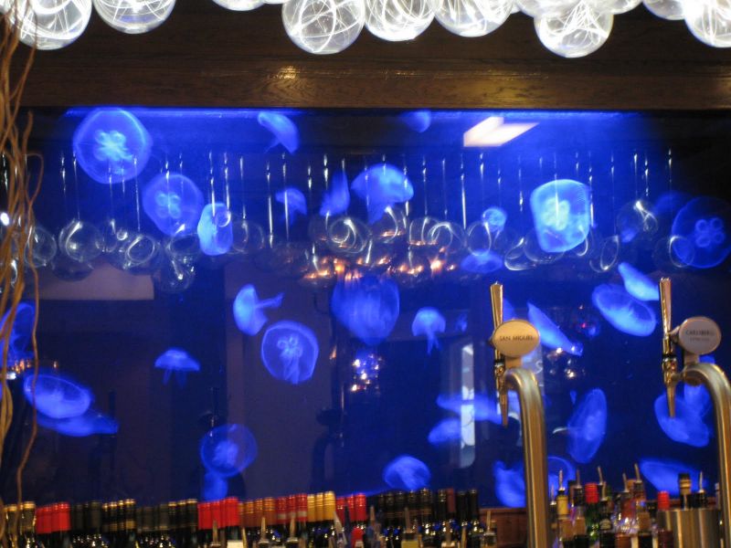 Barul Aquarium