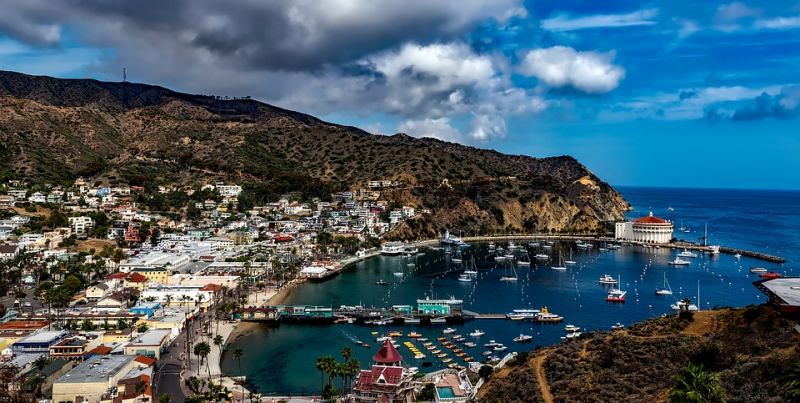 Image for Catalina Island , SUA
