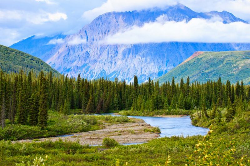 Image for Denali National Park, Alaska