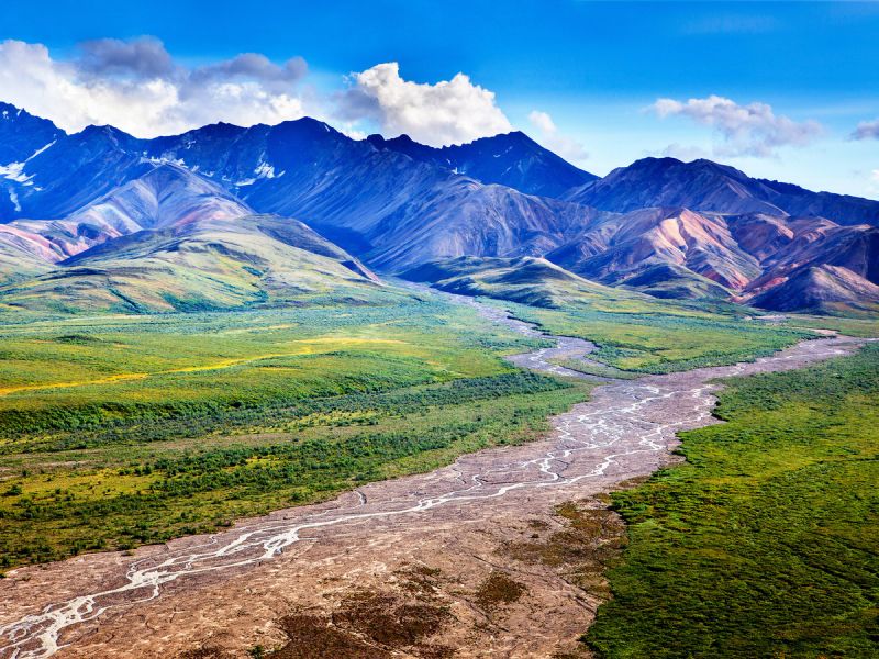 Image for Denali National Park, Alaska