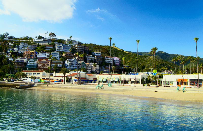 Image for Catalina Island , SUA