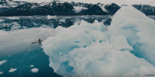 Descopera Antarctica cu Hurtigruten