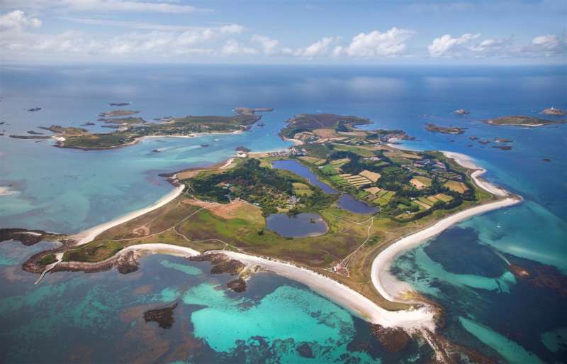 Image for Insulele Tresco