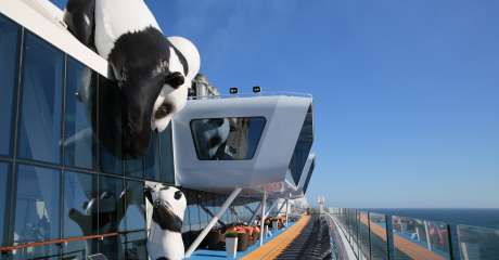 Croaziera 2024 - Australia si Noua Zeelanda (Sydney, Australia) - Royal Caribbean Cruise Line - Ovation of the Seas - 10 nopti