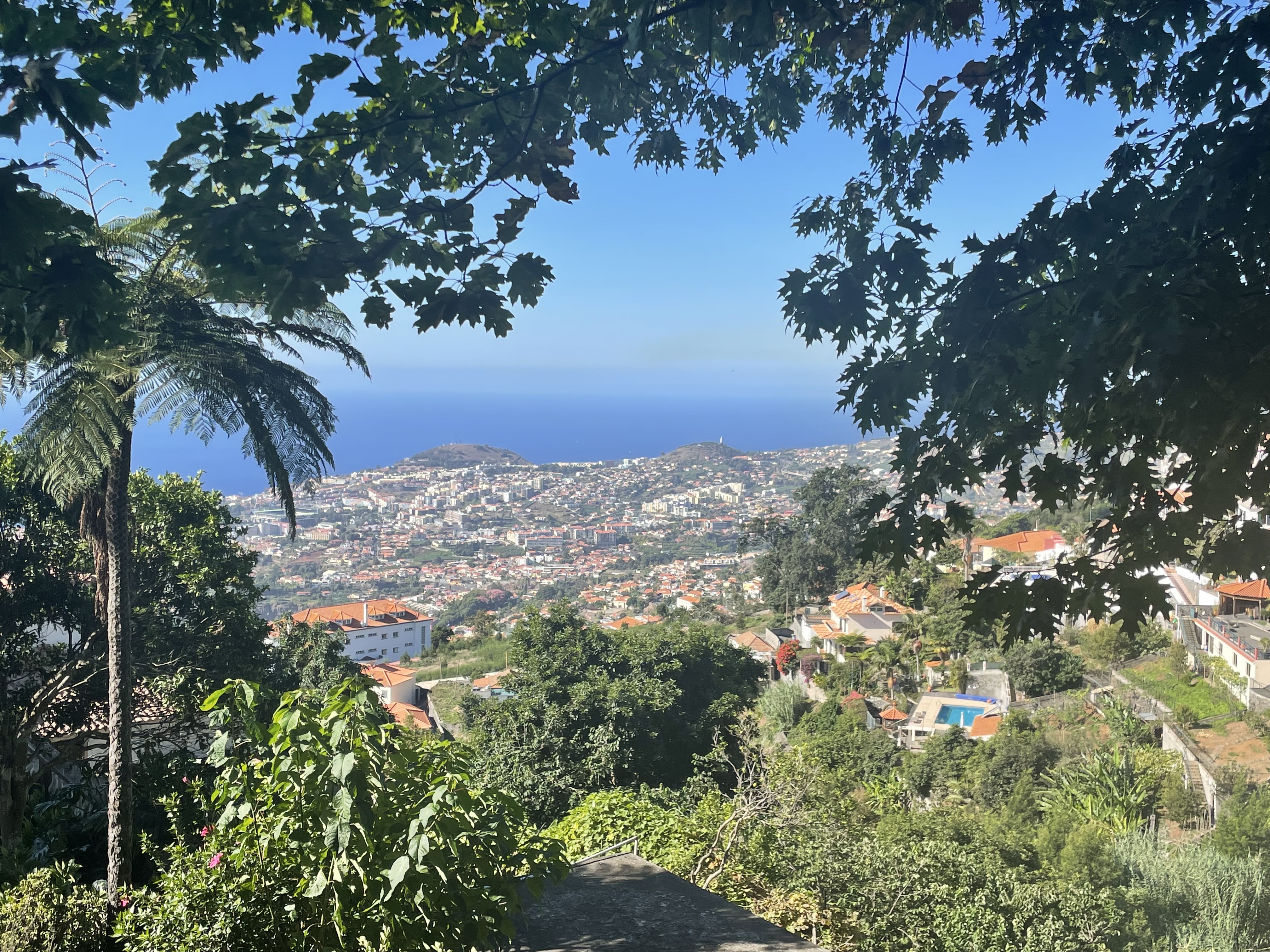 Groza Anca Maria