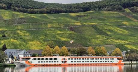 Croaziera 2027 - Rin (Dusseldorf, Germania) - Crucemundo - MS Vista Rio - 7 nopti