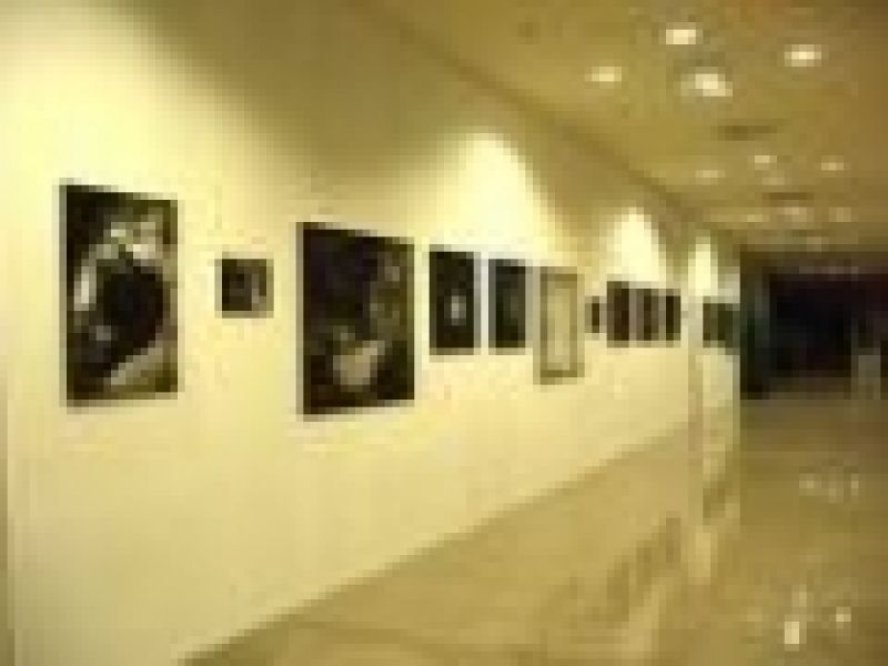 Galeria foto 