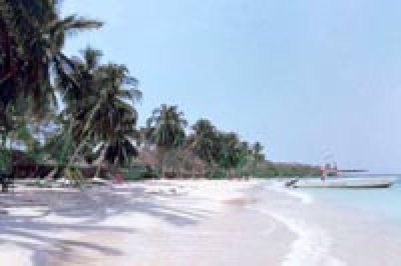 Image for Armacao dos Buzio, Brazila