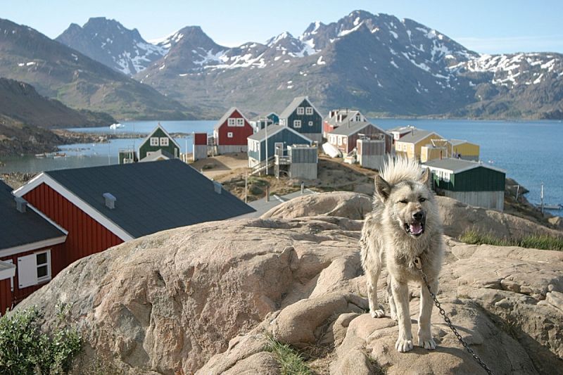 Image for Spitsbergen, Norvegia