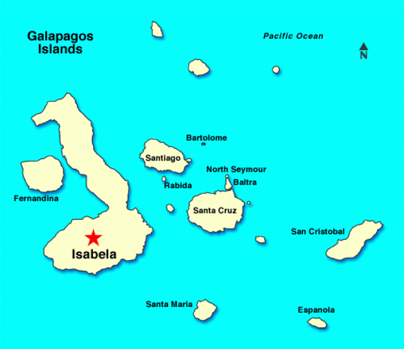 Image for Isabela, Insulele Galapagos, Ecuador